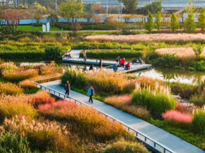 秋光為伴，我們與張村河共繪新景